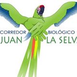 biologischer Korridor San Juan La Selva