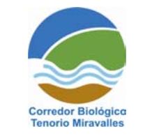 Biologischer Korridor Tenorio Miravalles